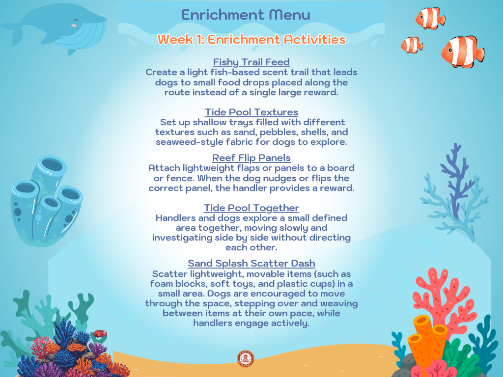 Week 1 enrichment menu: Fishy Trail Feed, Tide Pool Textures, Reef Flip Panels and more