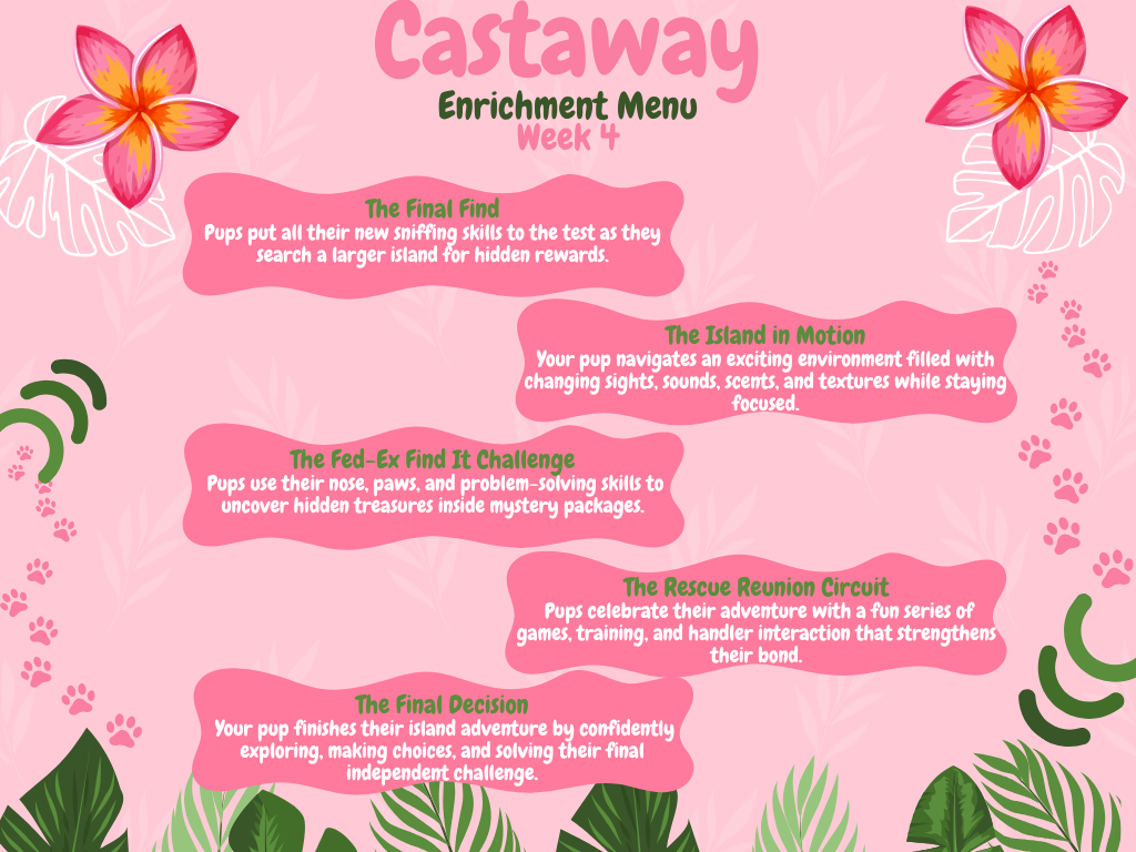 Castaway week 4 enrichment menu: The Final Find, The Island in Motion and more
