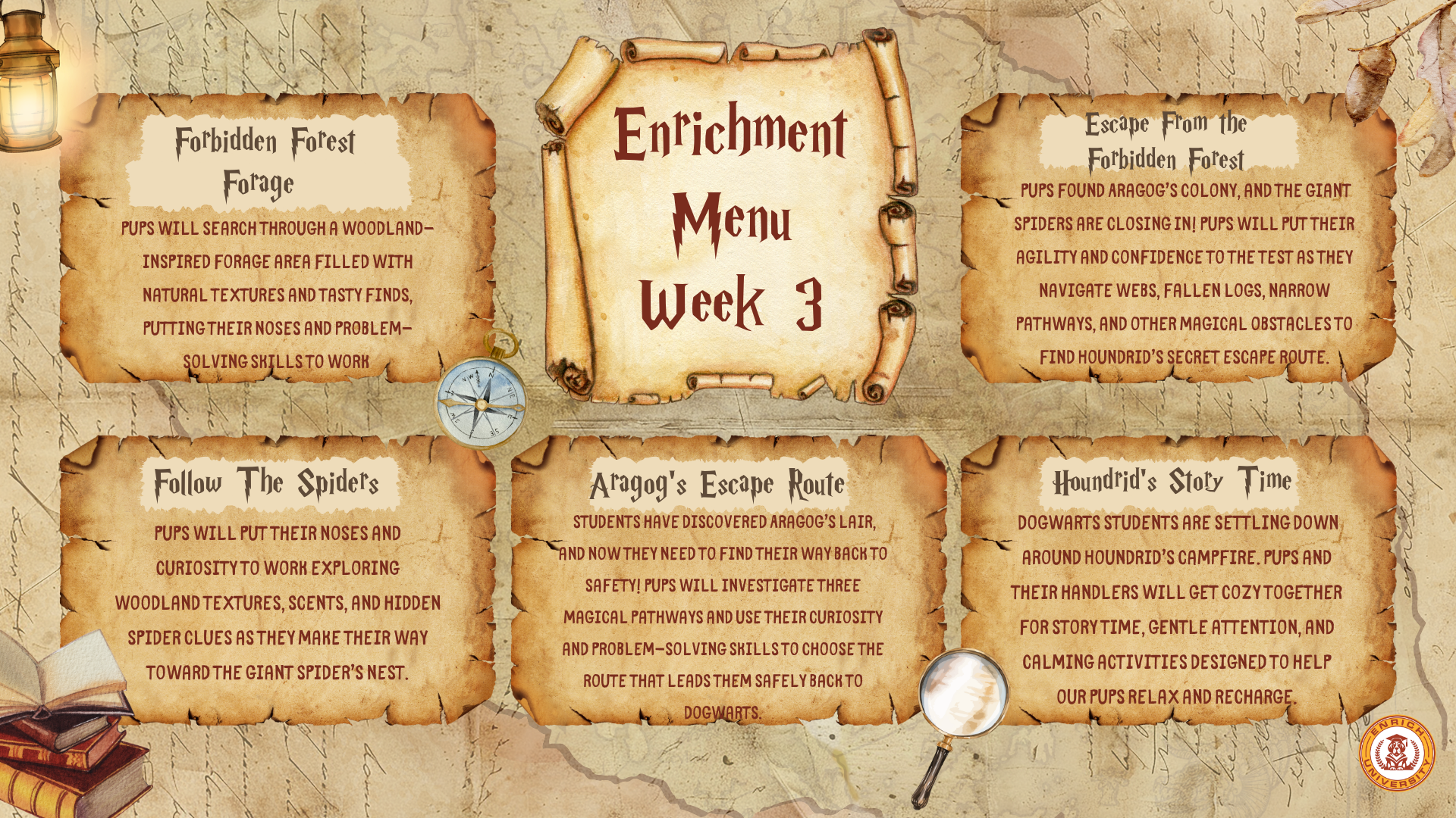 Dogwarts week 3 enrichment menu: Forbidden Forest Forage, Follow the Spiders, Houndrid&rsquo;s Story Time
