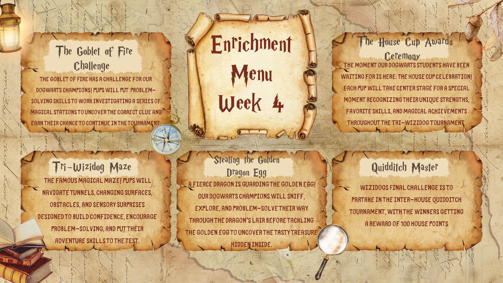 Dogwarts week 4 enrichment menu: Goblet of Fire Challenge, Tri-Wizidog Maze, Quidditch Master
