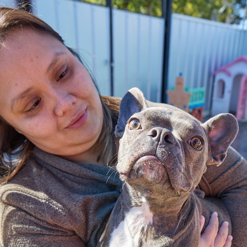 Pack Leader cuddling a grey French bulldog at Metro Animals in Fort Worth
