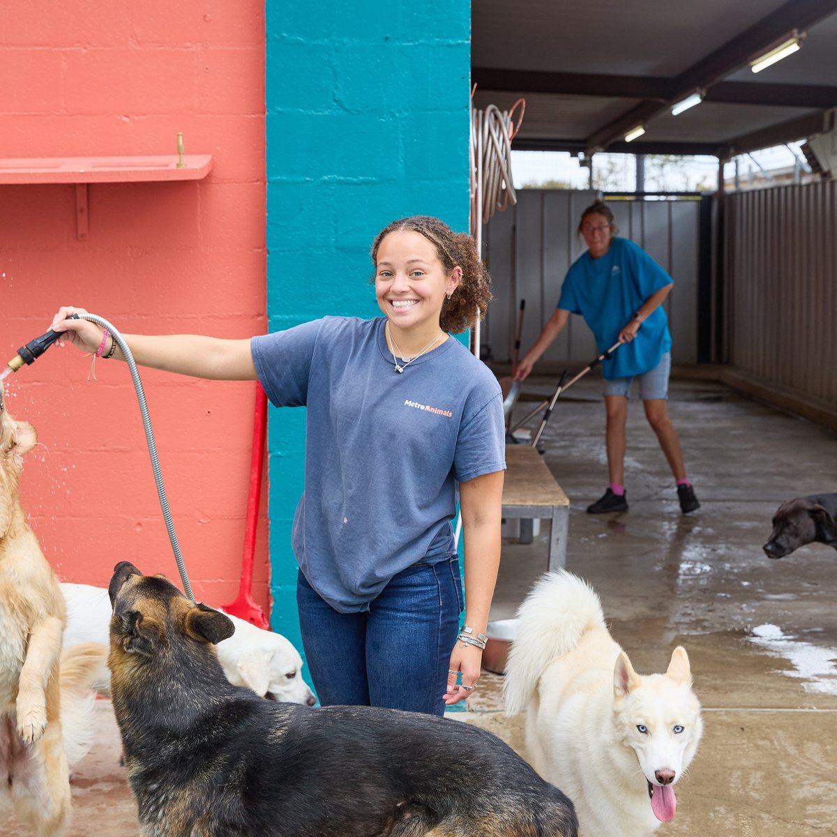 Smiling team member with a hose during water play with the dogs at Metro Animals in Fort Worth