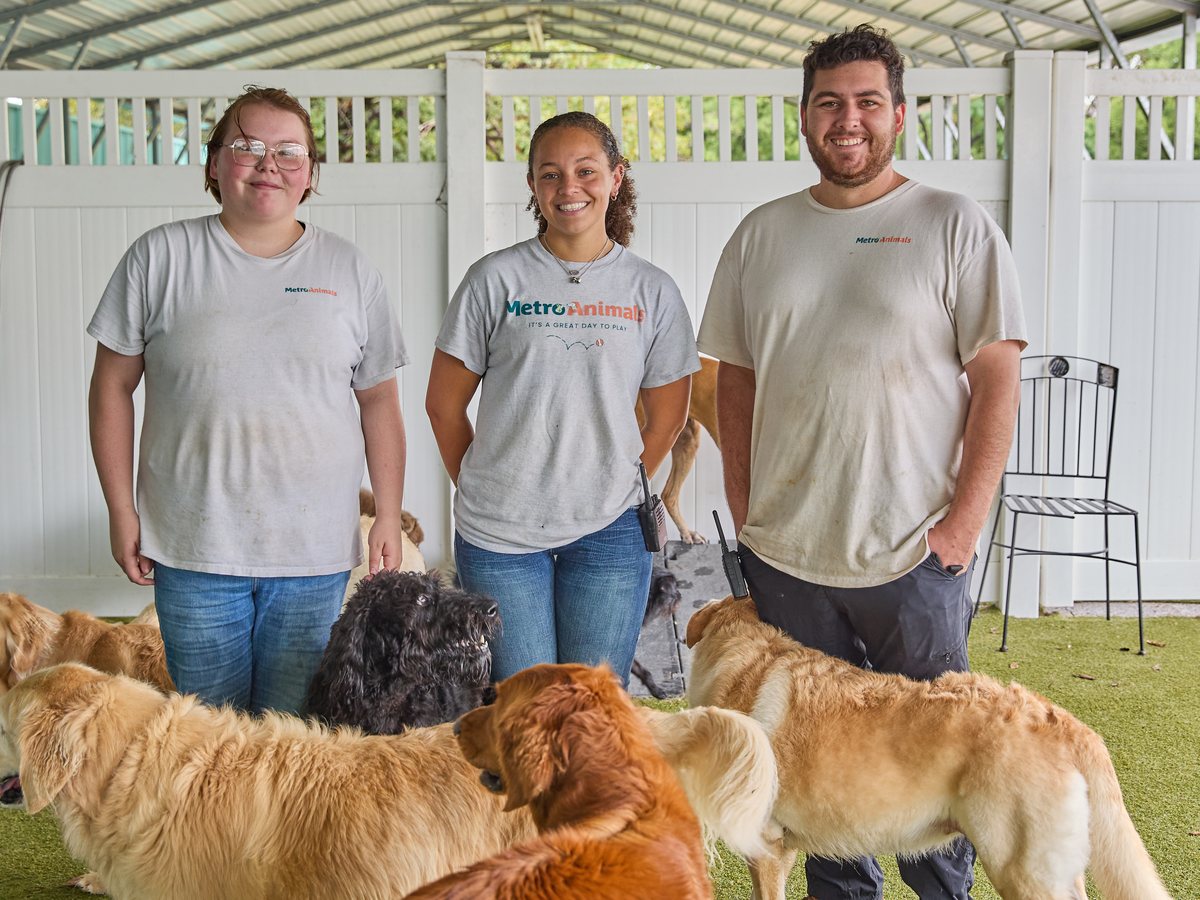 Three Metro Animals team members standing with a pack of golden retrievers on the covered turf yard in Fort Worth