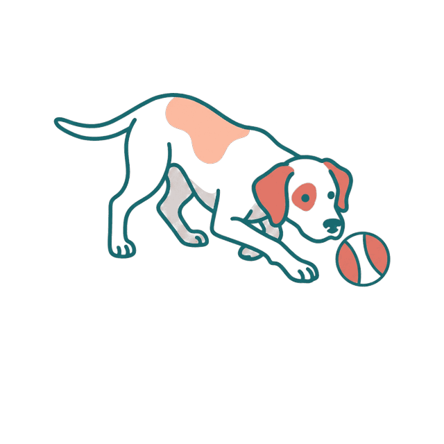 Illustration of the dog in a herding crouch behind a ball