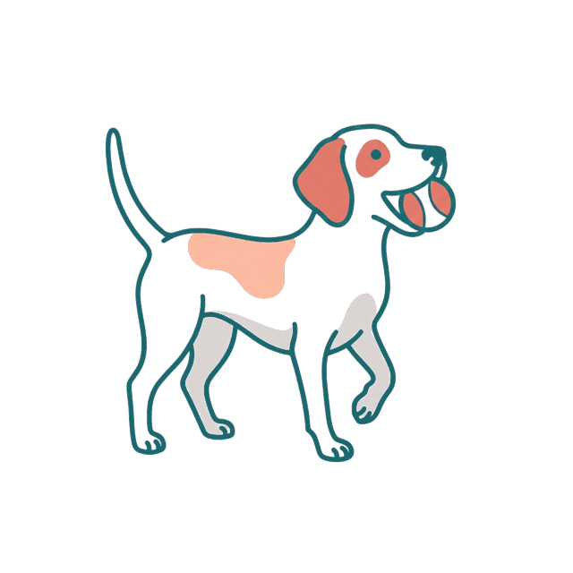 Illustration of the dog bringing back a ball
