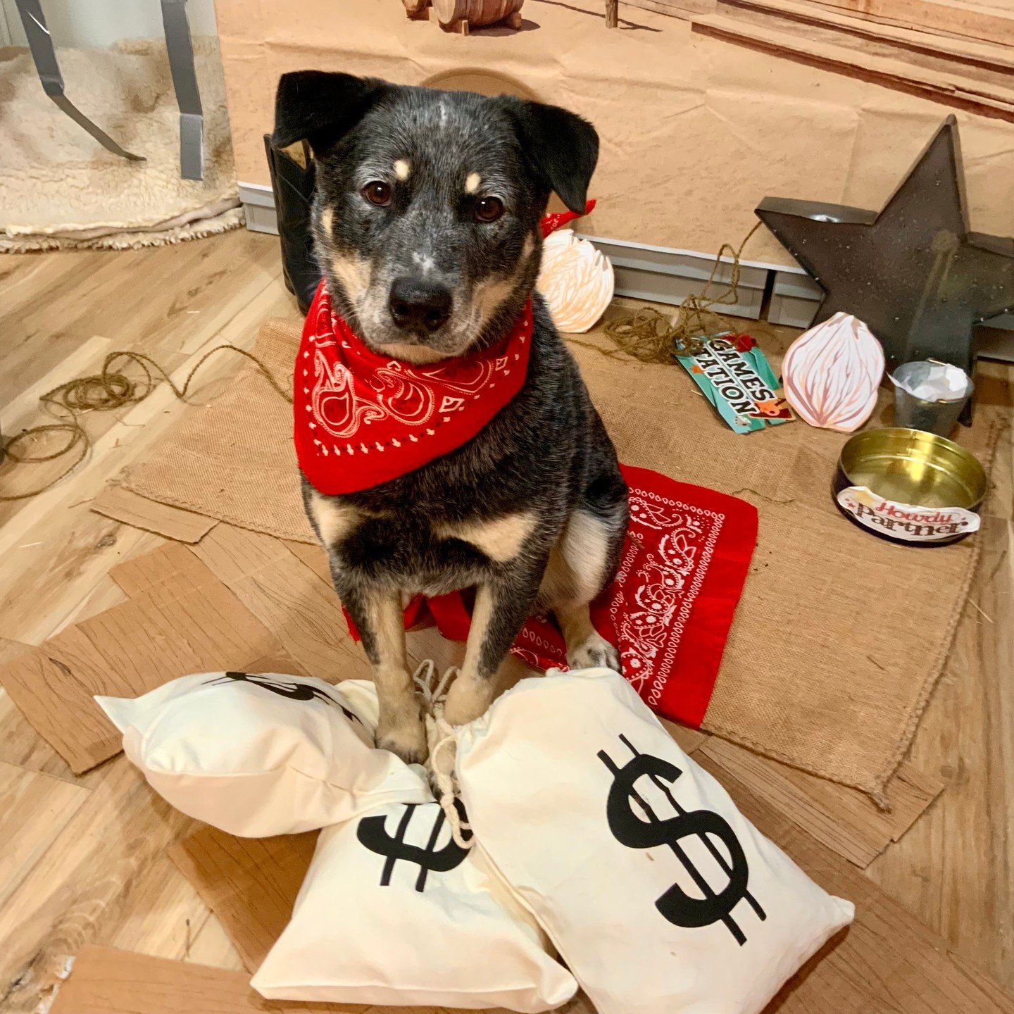 Sheriff Nyx in a red bandana guarding a pile of money bags in the Barksville set