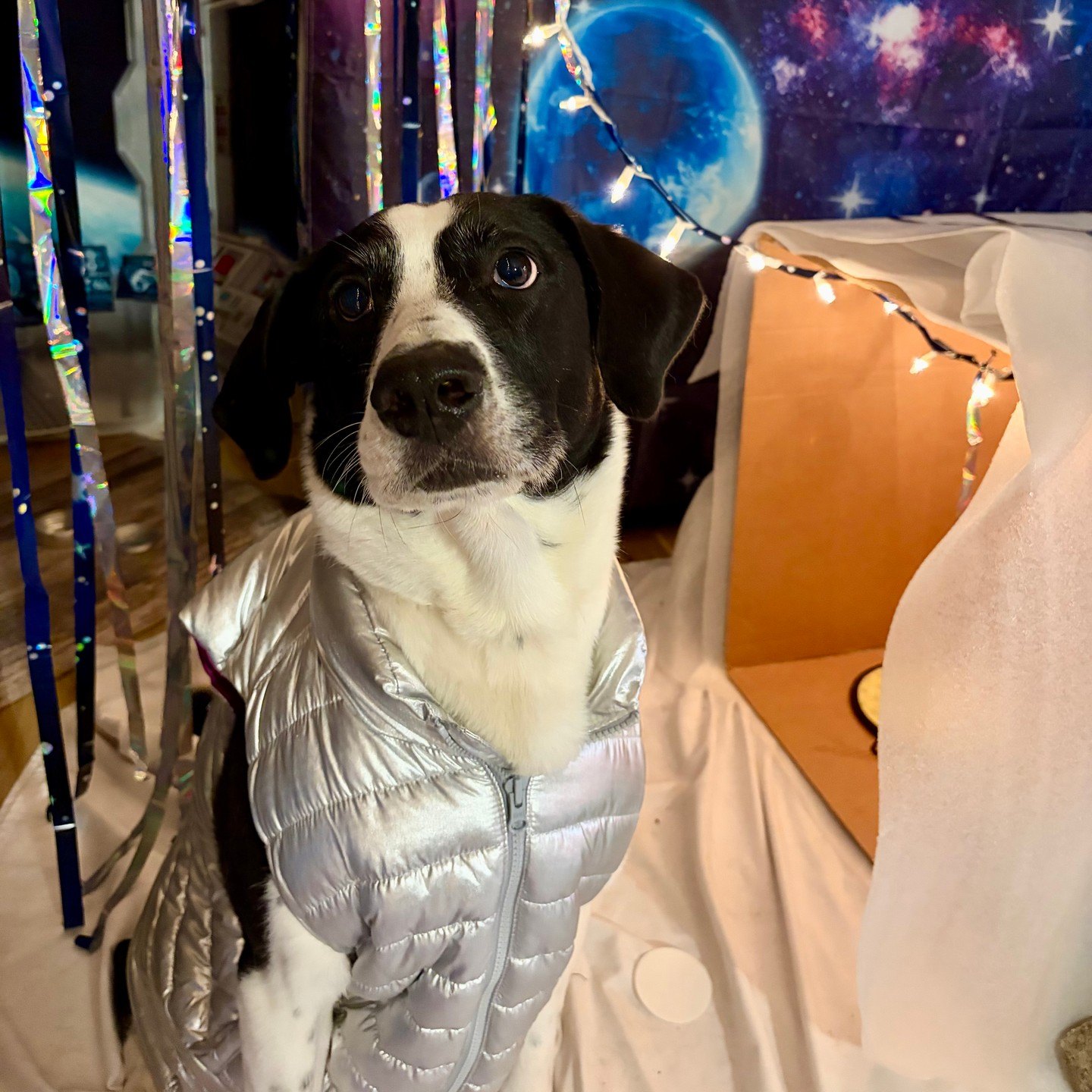 Jasper sits in a silver space vest under string lights and holographic streamers