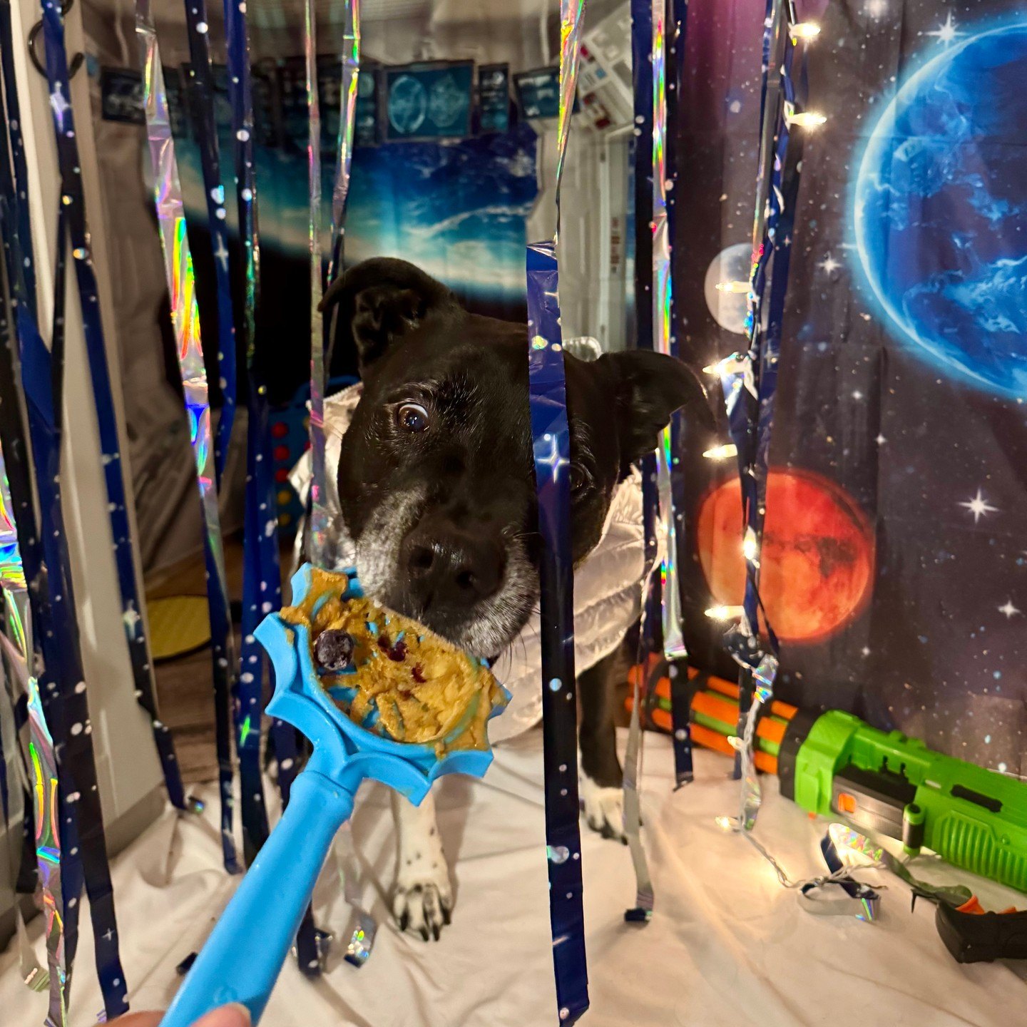 A cadet in a silver vest leans through starry streamers to taste a treat-covered spoon