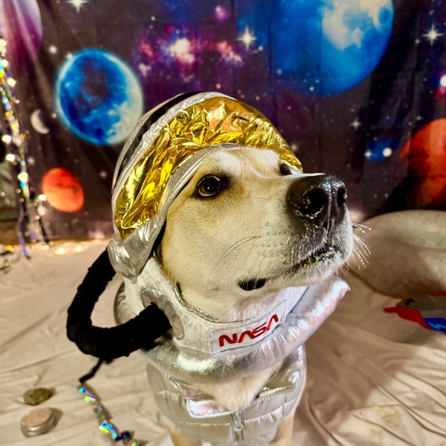 Porter looks up from under a gold-visor space helmet against a galaxy backdrop