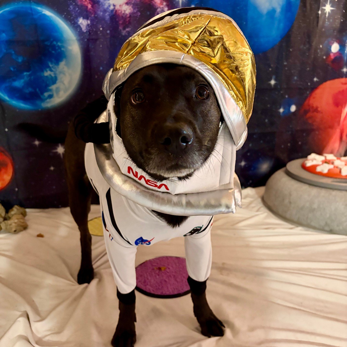 Princess stands in a gold-visor helmet and white space suit in front of the planets