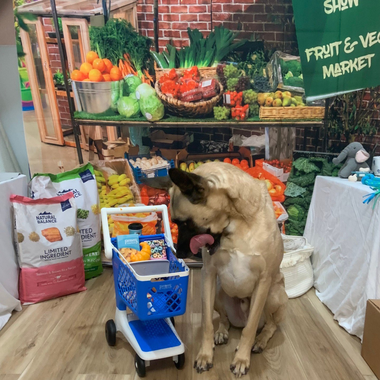 Tan dog licking its lips beside a toy shopping cart in the Barksville Super Center market set