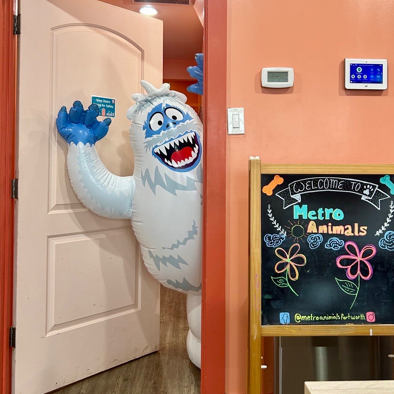 Inflatable Yeti peeking around a door at Metro Animals in Fort Worth