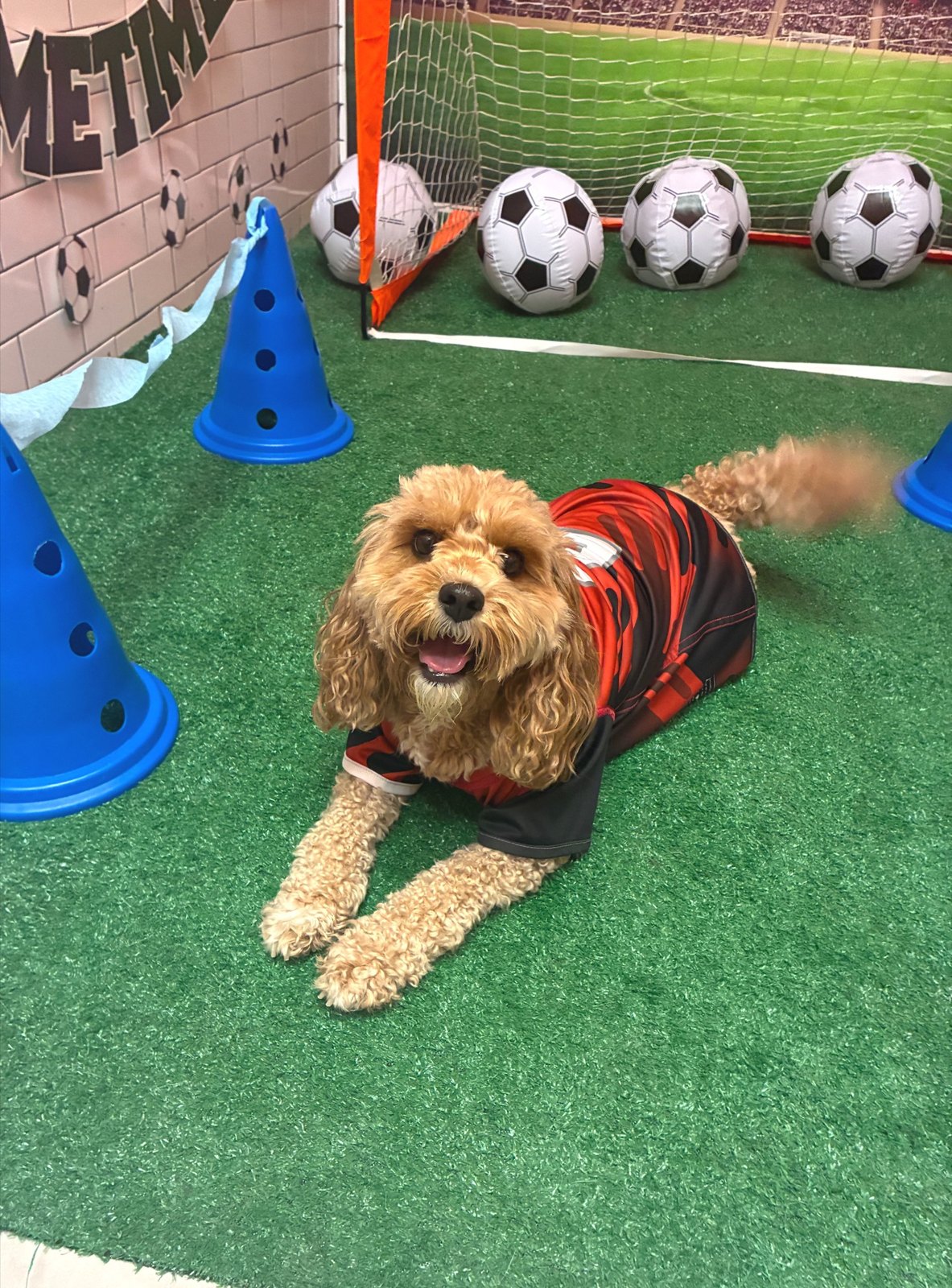 Curly-coated player in a red jersey lying by the goal and cones in Plano