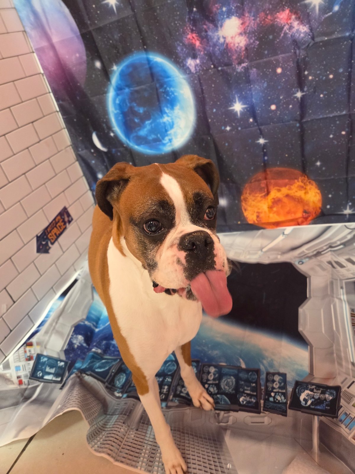 A cadet with a big tongue-out grin stands at the spaceship window backdrop in Plano