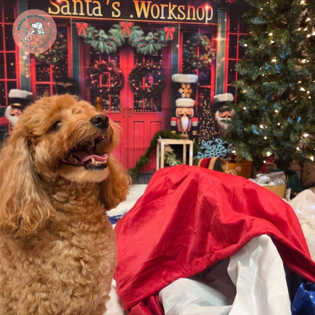 Red doodle smiling beside Santa’s spilled sack in the Santa’s Workshop holiday set