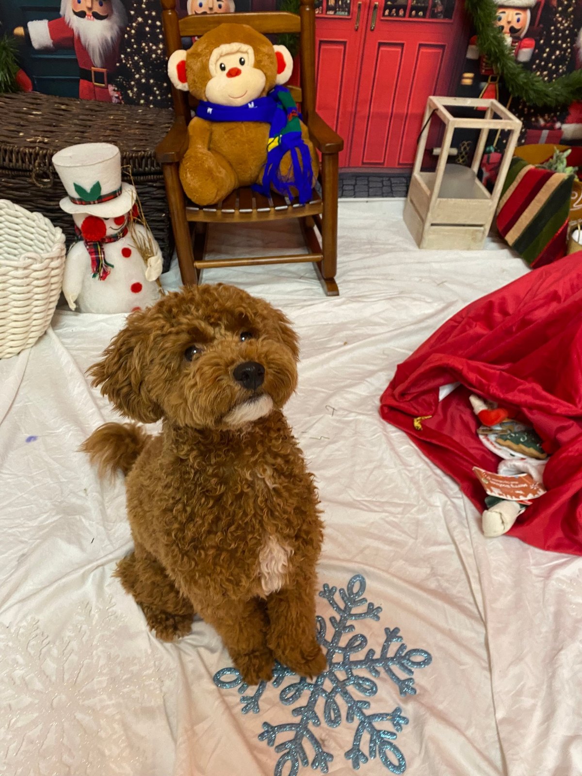 Red doodle sitting on a glitter snowflake next to Santa’s sack of toys